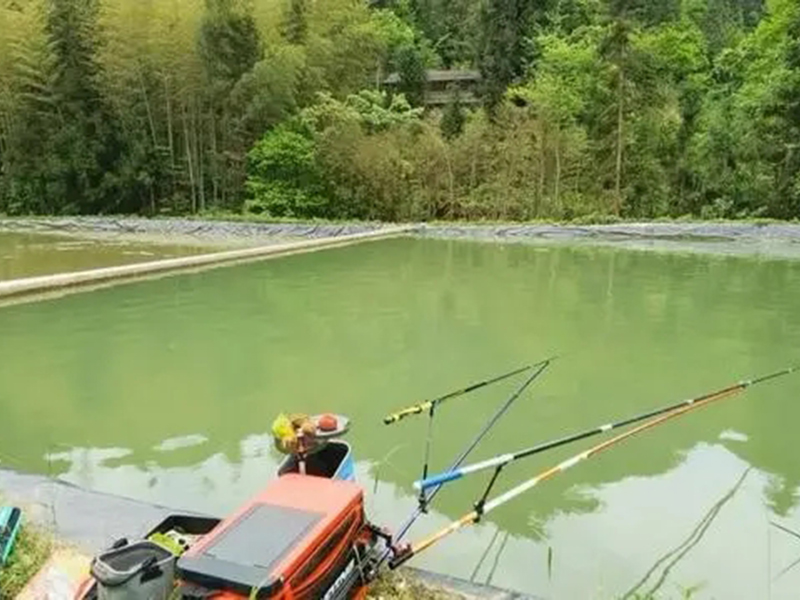 釣箱到底需不需要置辦，先看看它的五大實(shí)用功能，野釣黑坑都能用